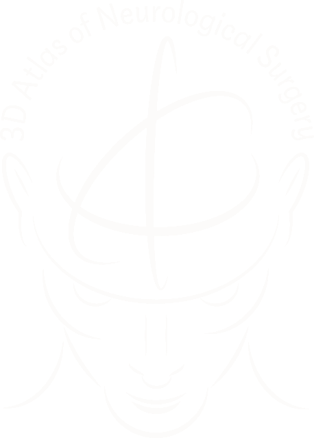 3D Atlas - logo
